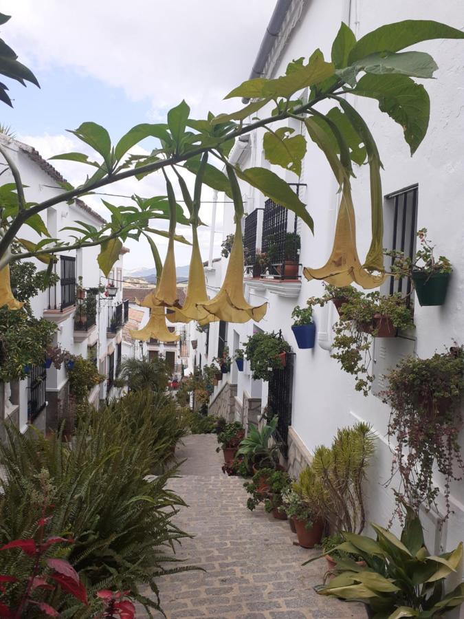 Casa De Flores - A Picture Perfect Location! El Gastor