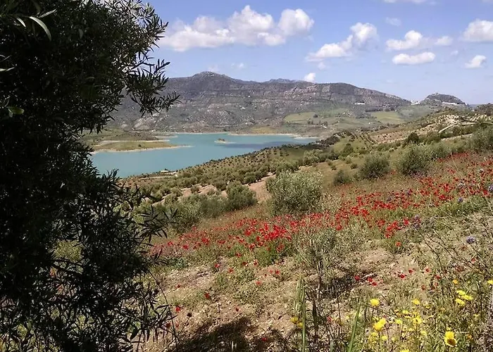 Casa De Las Flores - A Picture Perfect Location!