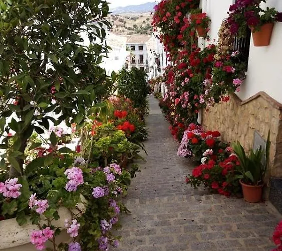 Casa De Las Flores - A Picture Perfect Location!