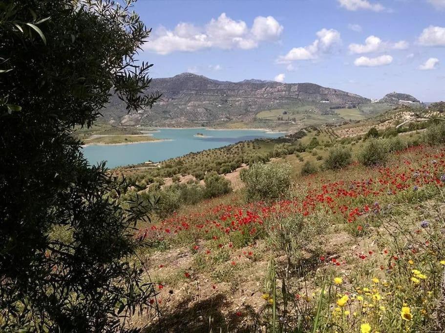 Casa De Flores - A Picture Perfect Location! *