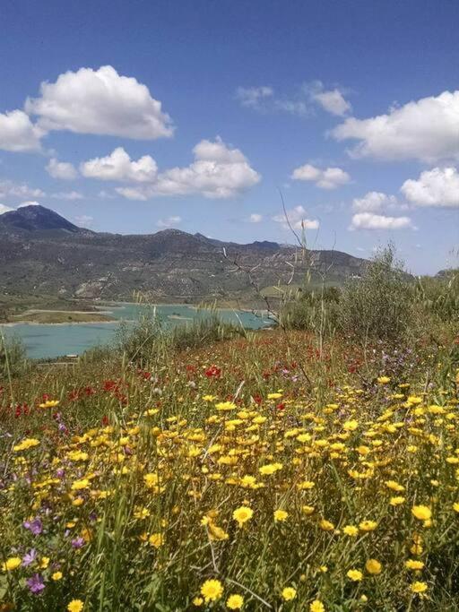 Casa De Flores - A Picture Perfect Location! * El Gastor