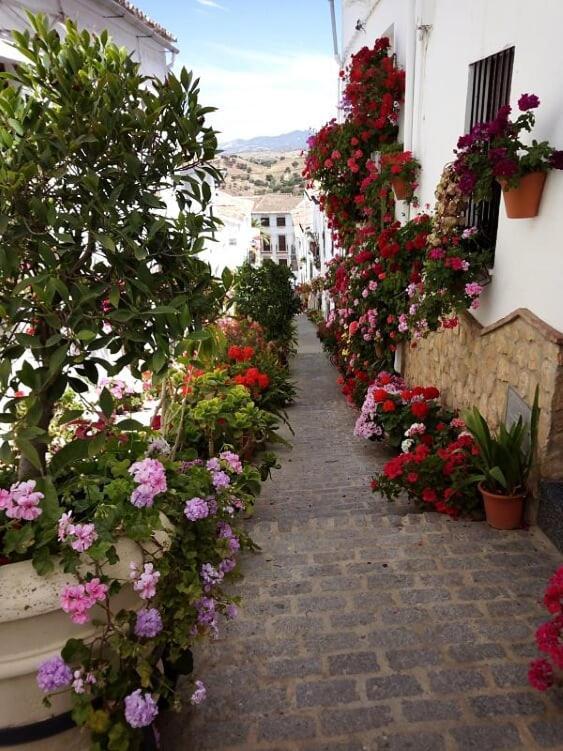 Casa De Flores - A Picture Perfect Location! Holiday home *