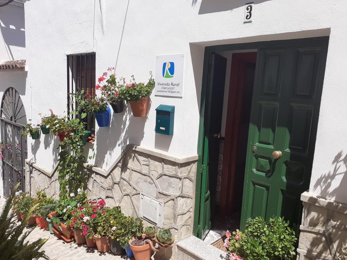 Casa De Flores - A Picture Perfect Location! * El Gastor