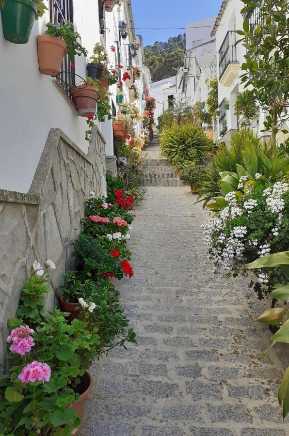 Casa De Flores - A Picture Perfect Location! El Gastor