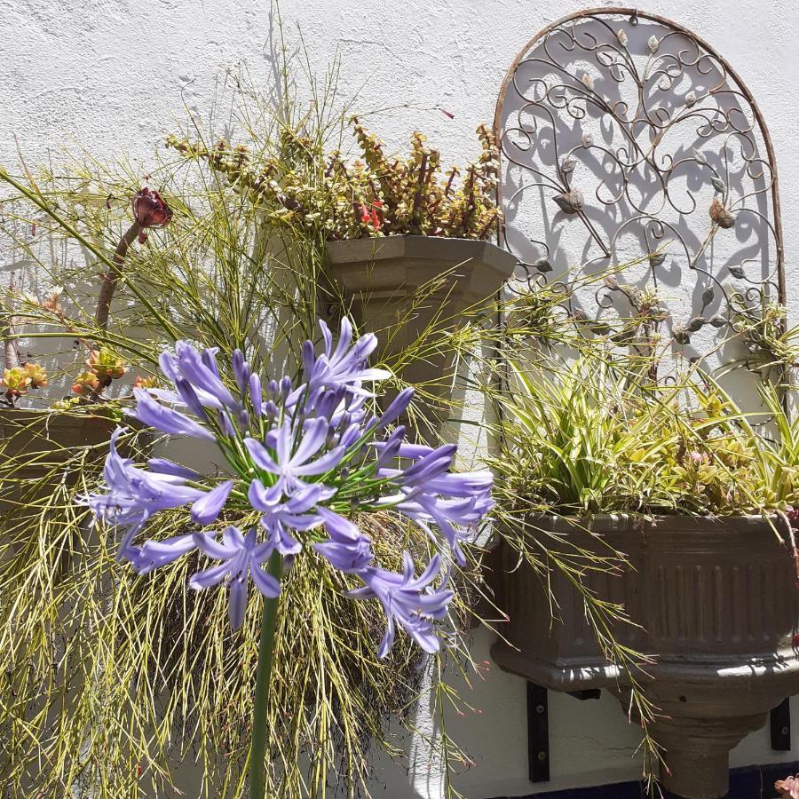 Holiday home Casa De Flores - A Picture Perfect Location! El Gastor