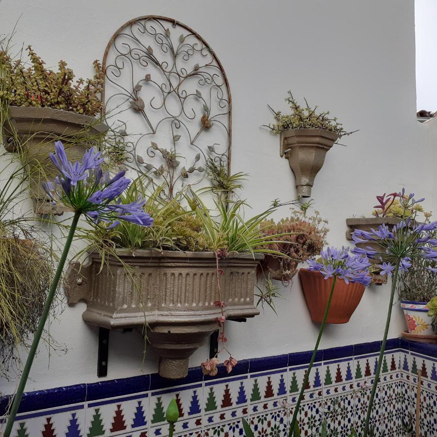 Casa De Flores - A Picture Perfect Location! El Gastor